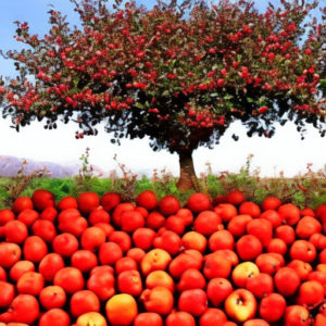 realistic apple tree with apples